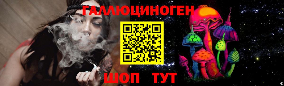 Донской  купить наркотики сайты  Псилоцибиновые грибы мухоморы  Вход с VPN  Псилоцибиновые грибы MAGIC MUSHROOMS 